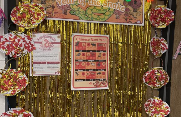 The Chinese Year of The Snake 2025